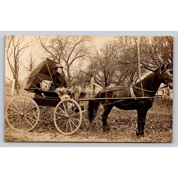Old Real Photo Postcard Woman of Leisure Fancy Hat Horse Buggy Fur Blanket RPPC - Picture 1 of 2